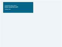 Tablet Screenshot of cesamet.com